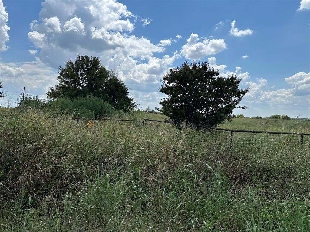 Lot 6 Rutledge Road Whitewright, TX 75491 - Photo 19 of 25