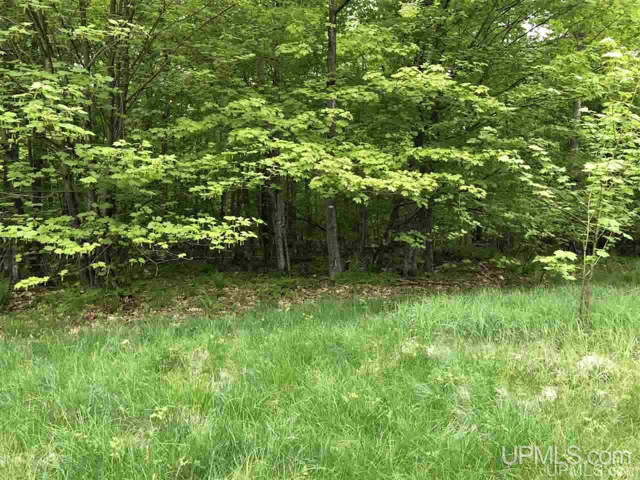 Tbd Will Pryor Road Big Bay, MI 49808 - Photo 13 of 18