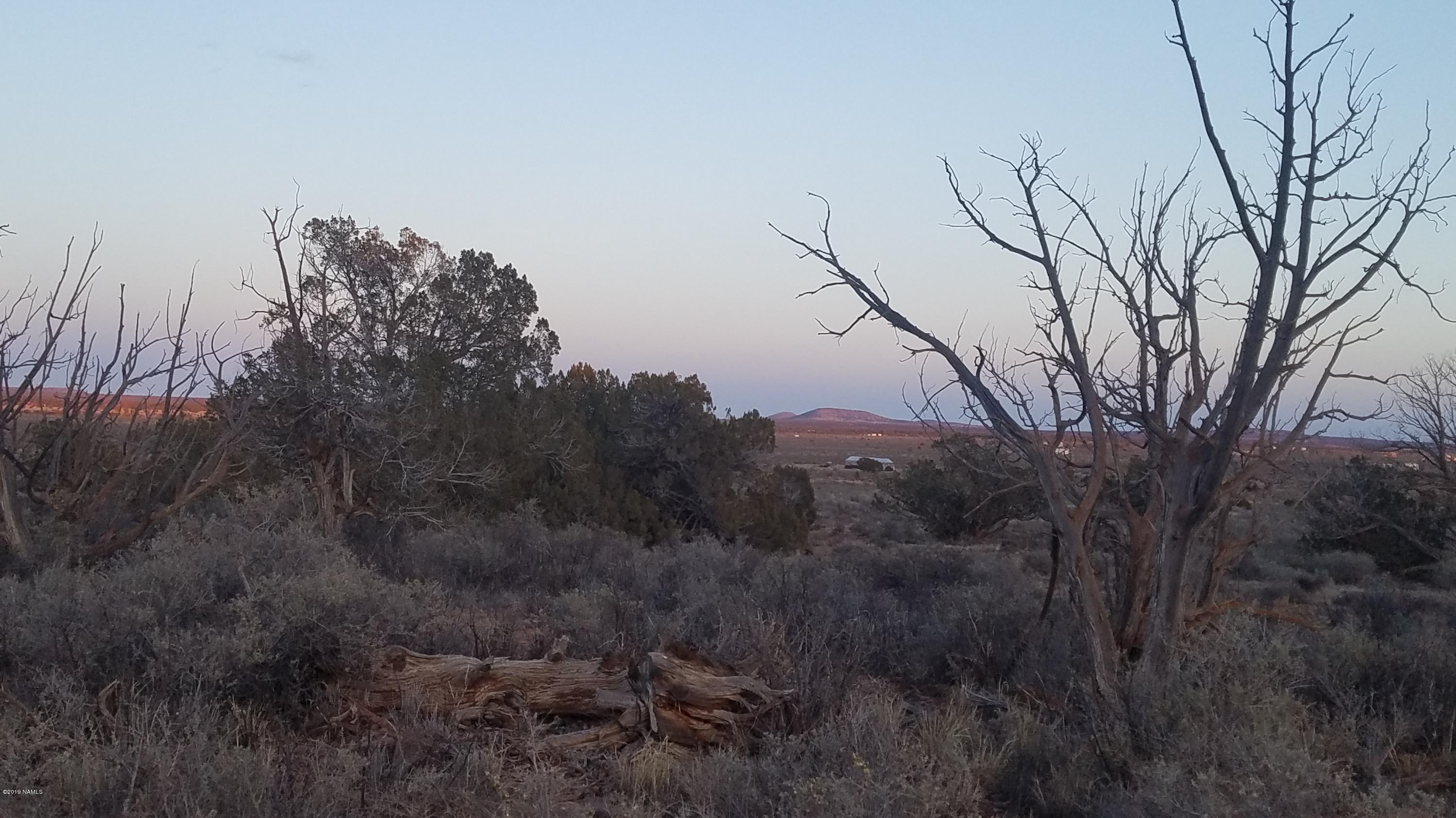 605 Big Springs Road Williams, AZ 86046 - Photo 3 of 4 20190130_174956