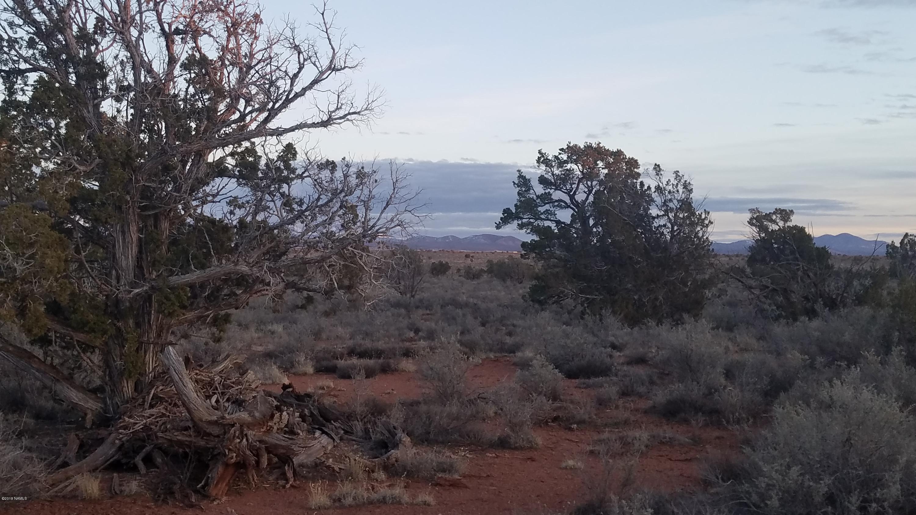 605 Big Springs Road Williams, AZ 86046 - Photo 4 of 4 20190130_174959