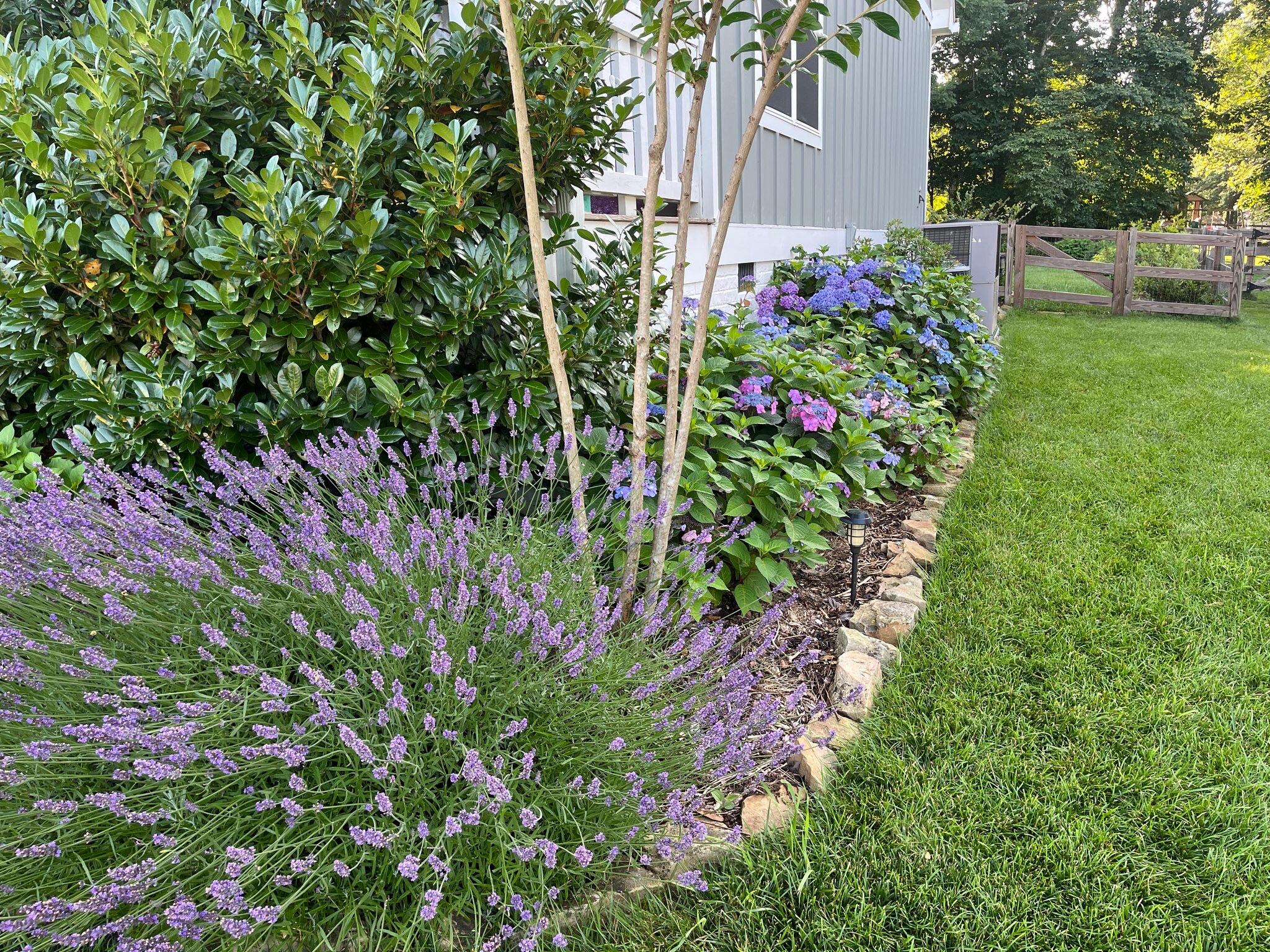 2819 Signal Farms Lane Signal Mountain, TN 37377 - Photo 41 of 47 IMG_0005 (1)