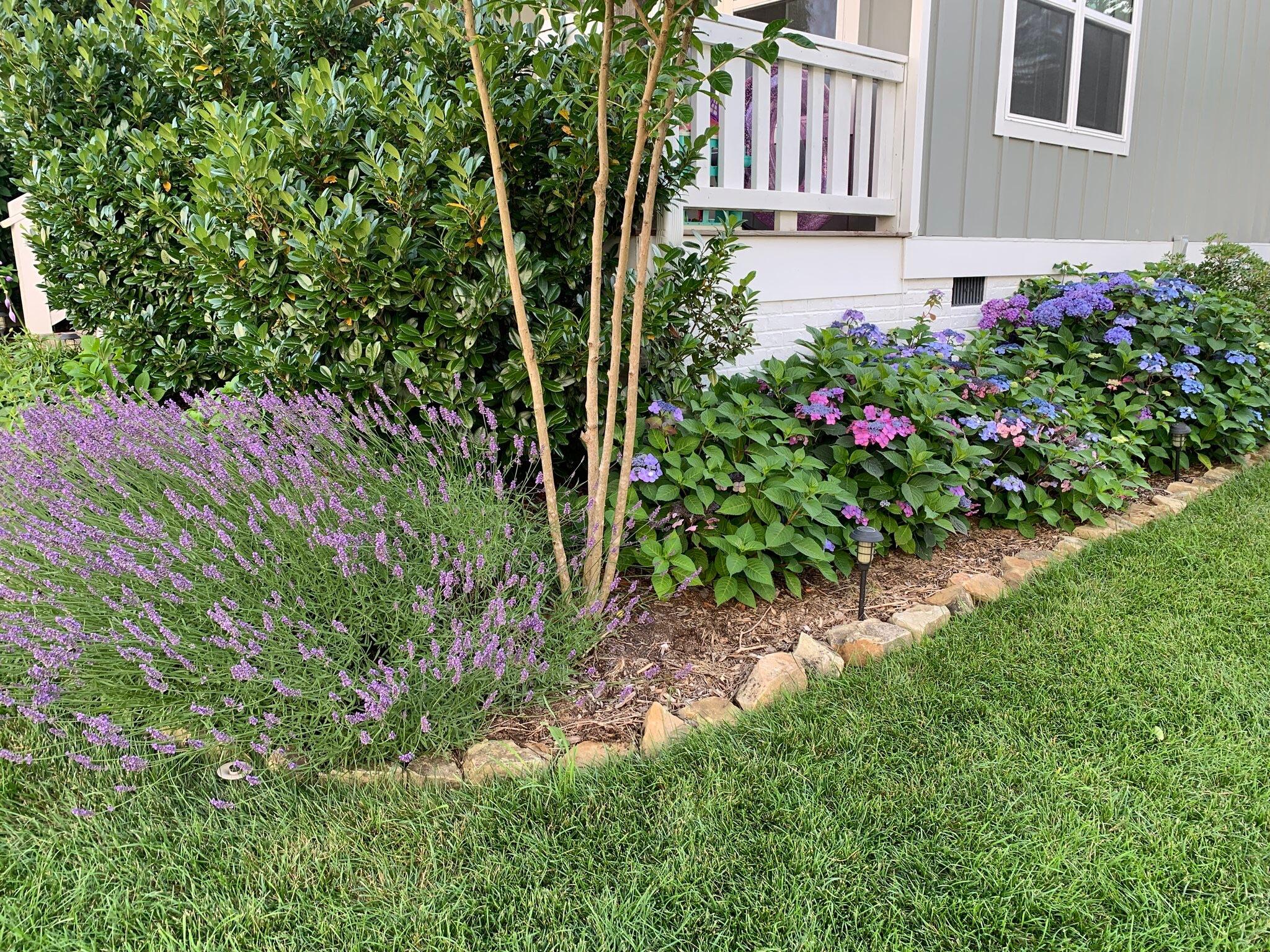 2819 Signal Farms Lane Signal Mountain, TN 37377 - Photo 42 of 47 IMG_0008 (1)