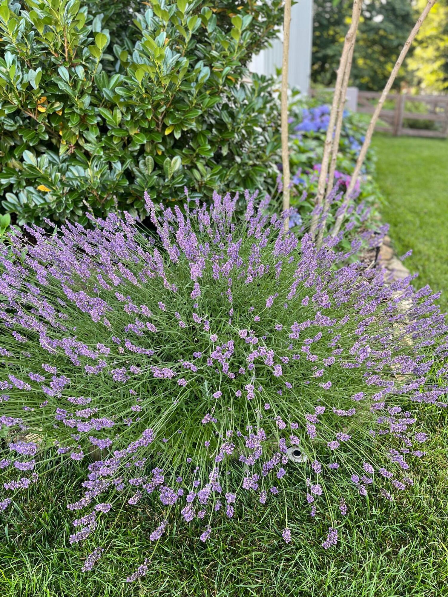 2819 Signal Farms Lane Signal Mountain, TN 37377 - Photo 43 of 47 IMG_0006 (1)