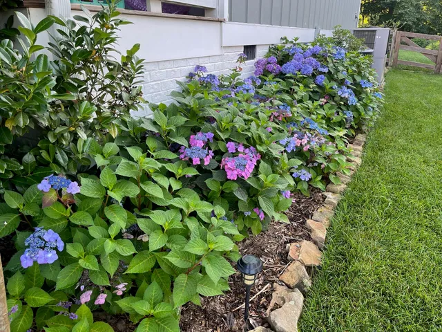 $739,000 | 2819 Signal Farms Lane, Signal Mountain, TN 37377