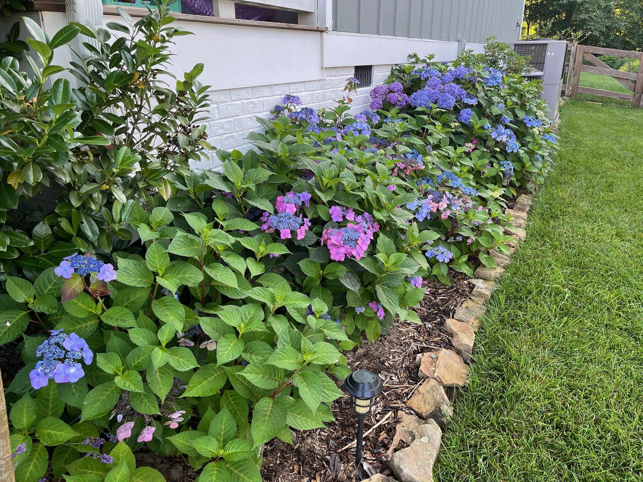 2819 Signal Farms Lane Signal Mountain, TN 37377 - Photo 44 of 47 IMG_0004 (1)