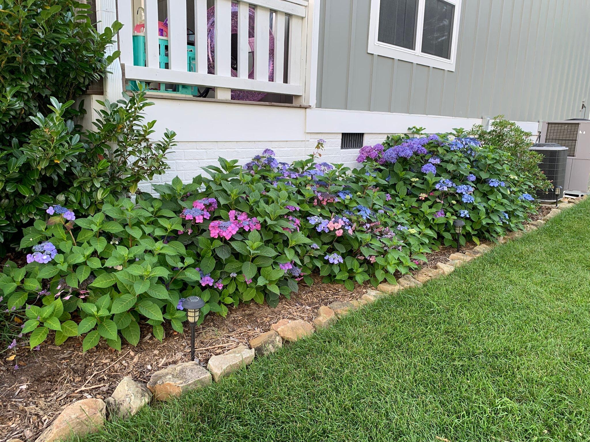 2819 Signal Farms Lane Signal Mountain, TN 37377 - Photo 45 of 47 IMG_0009 (1)