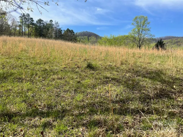 a view of a yard with trees