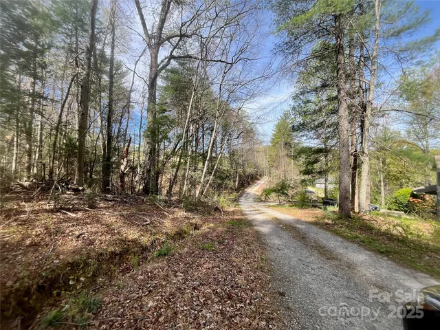 a view of outdoor space with deck and trees