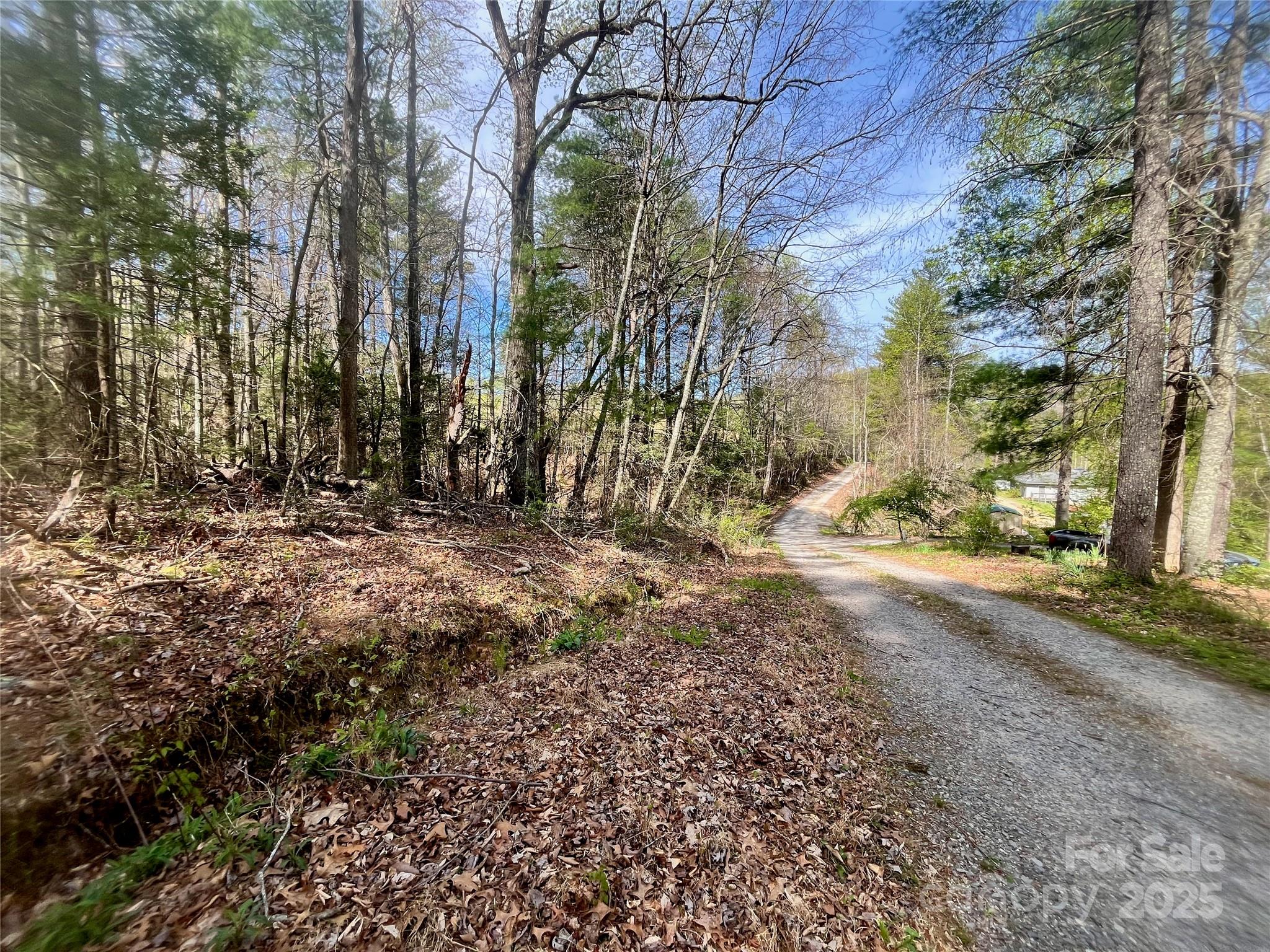 99999 Lollis Road Candler, NC 28715 - Photo 17 of 18 a view of backyard of a building