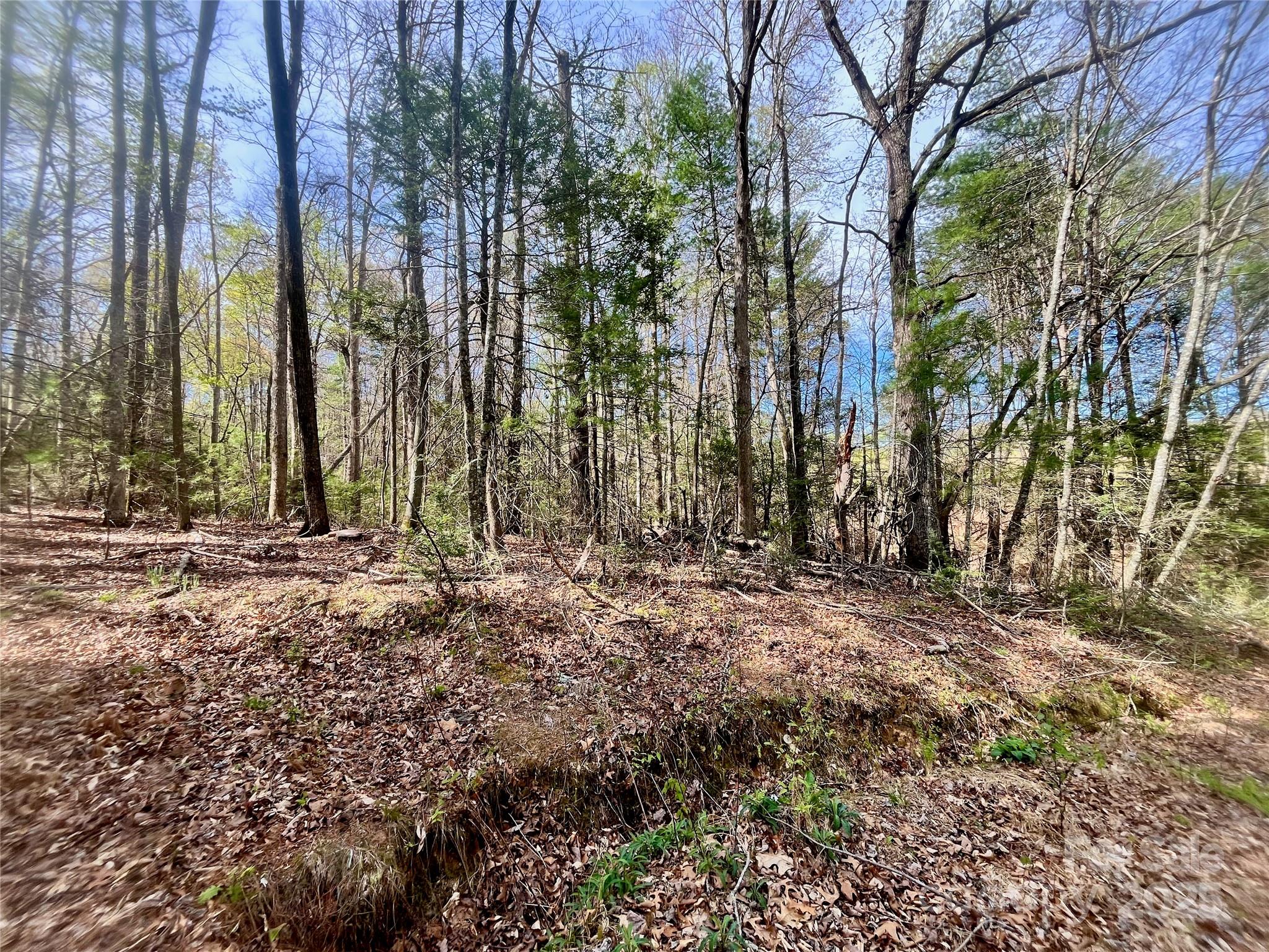 99999 Lollis Road Candler, NC 28715 - Photo 18 of 18 a view of outdoor space with deck and trees