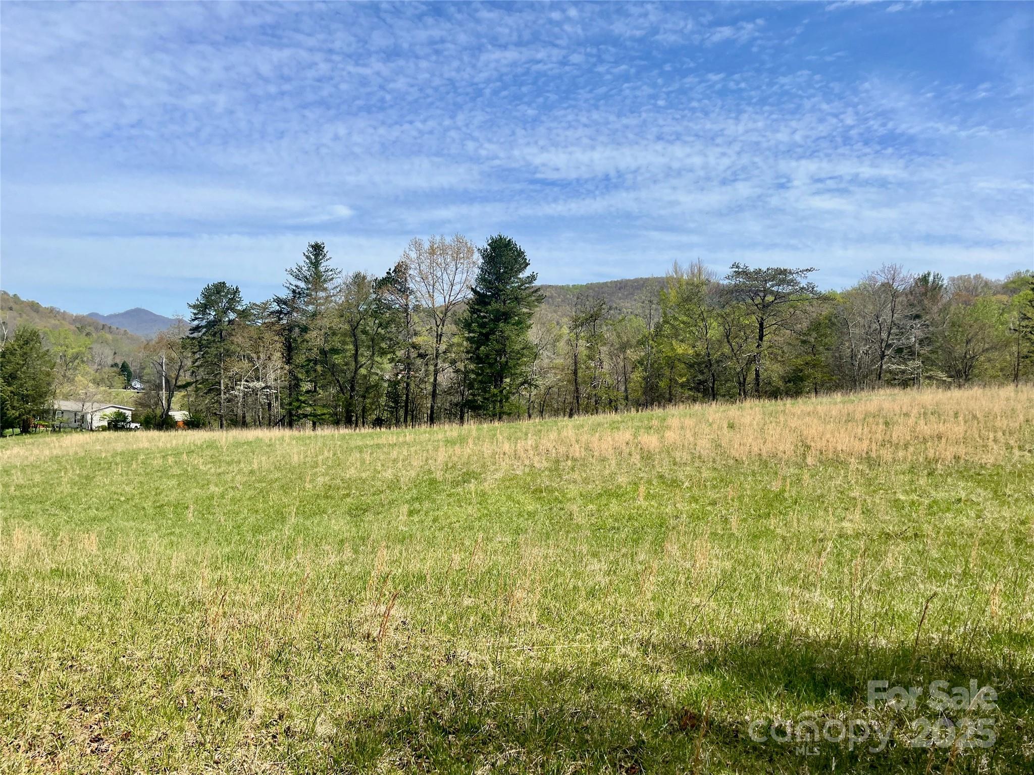 99999 Lollis Road Candler, NC 28715 - Photo 2 of 18 a view of a yard with a house in the background