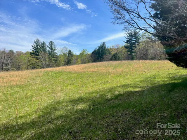 a view of an outdoor space and a yard