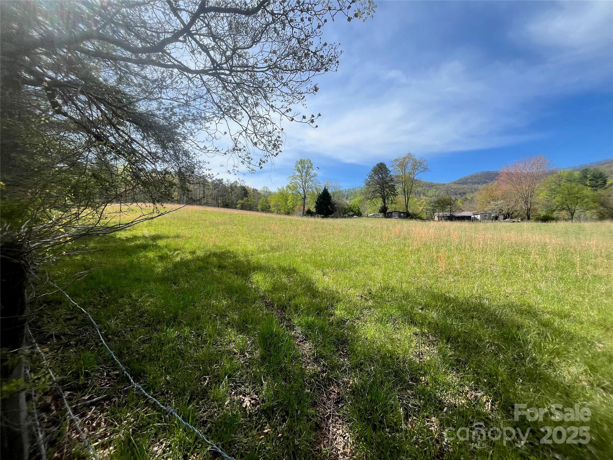 99999 Lollis Road Candler, NC 28715 - Photo 10 of 18 a view of an outdoor space and a yard