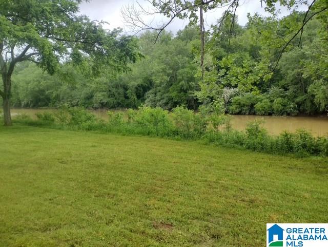 532 Pit Road Cordova, AL 35550 - Photo 5 of 18