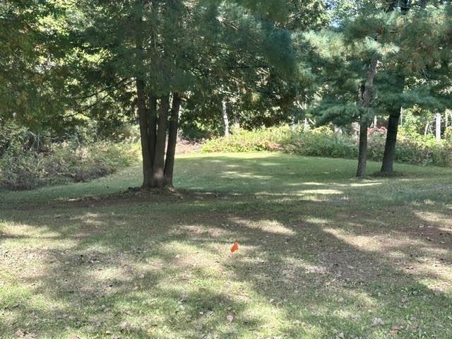 South White Potato Lake Road, Unit 11 Pound, WI 54161 - Photo 1 of 11