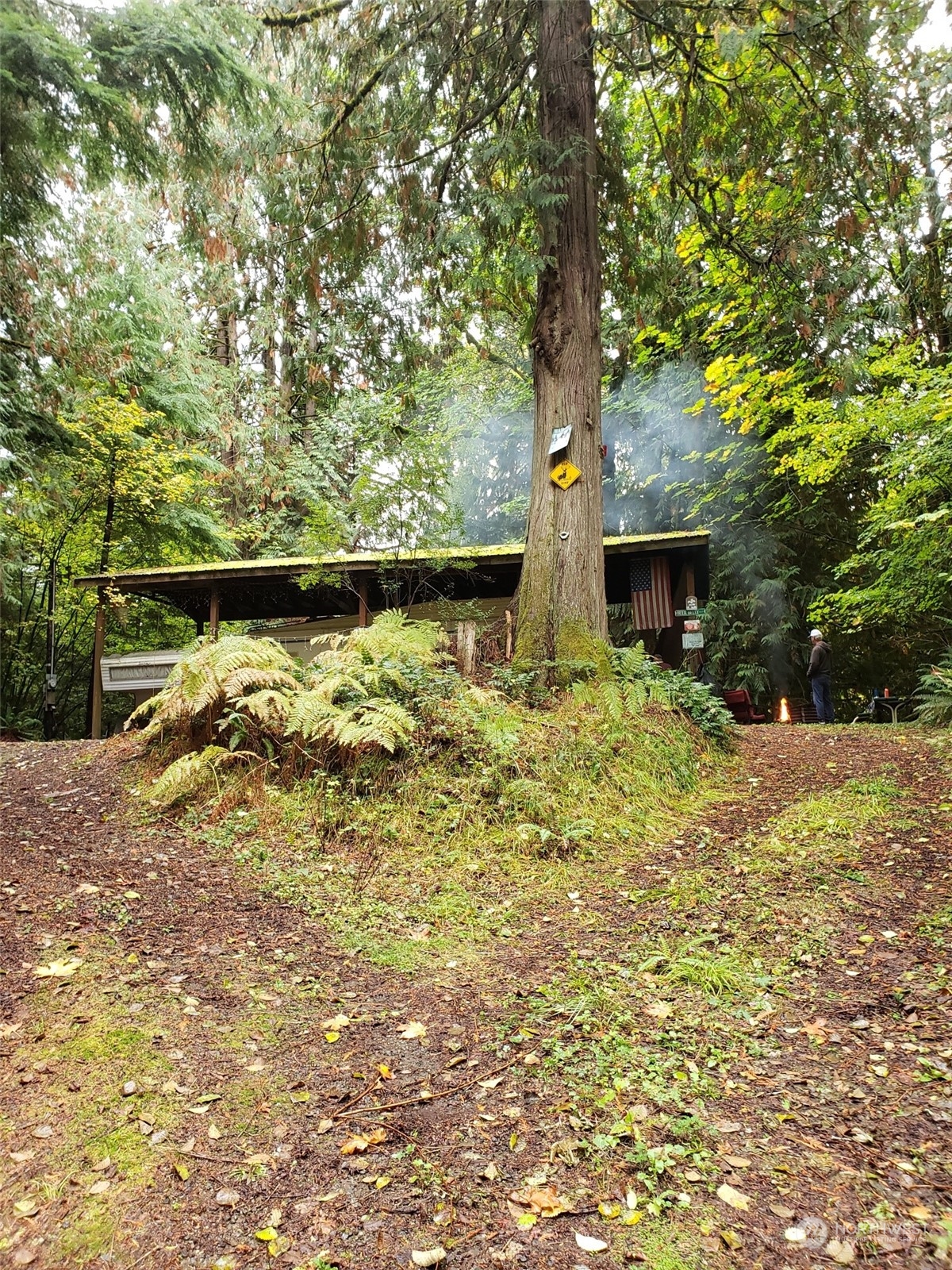 25 Ridge Court Brinnon, WA 98320 - Photo 4 of 6 Gallery Image 4