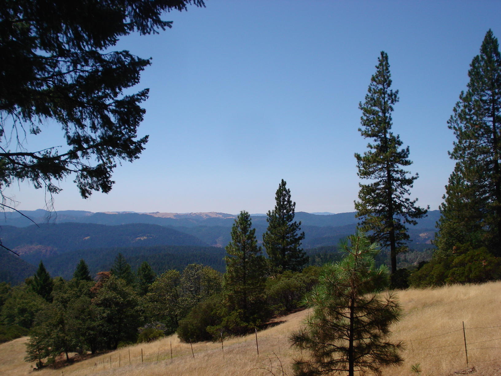 0 Forest Service 2s05 Road Mad River, CA 95552 - Photo 10 of 12 Gallery Image 10