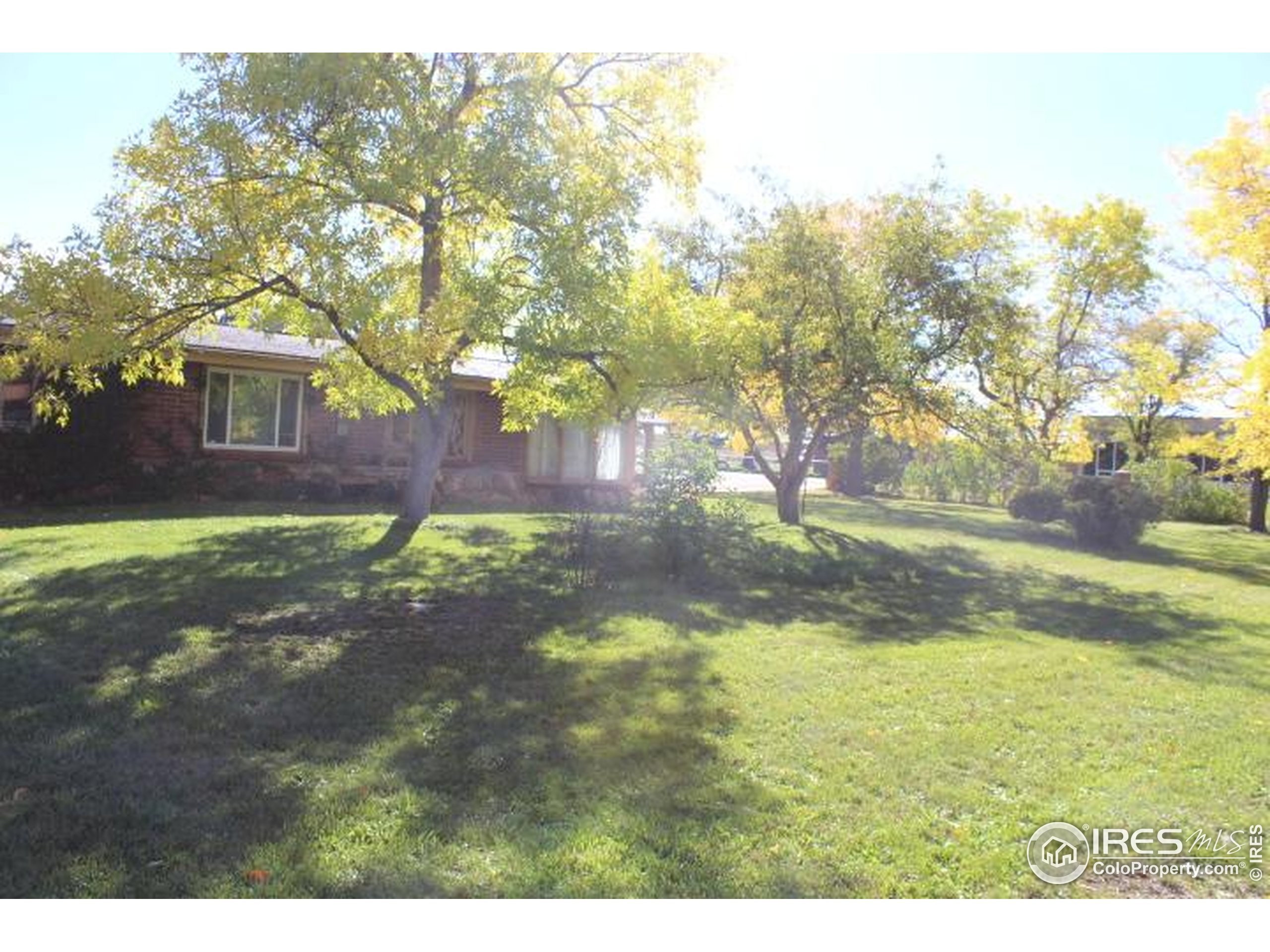 6137 Baseline Road Boulder, CO 80303 - Photo 20 of 40 a view of yard with trees