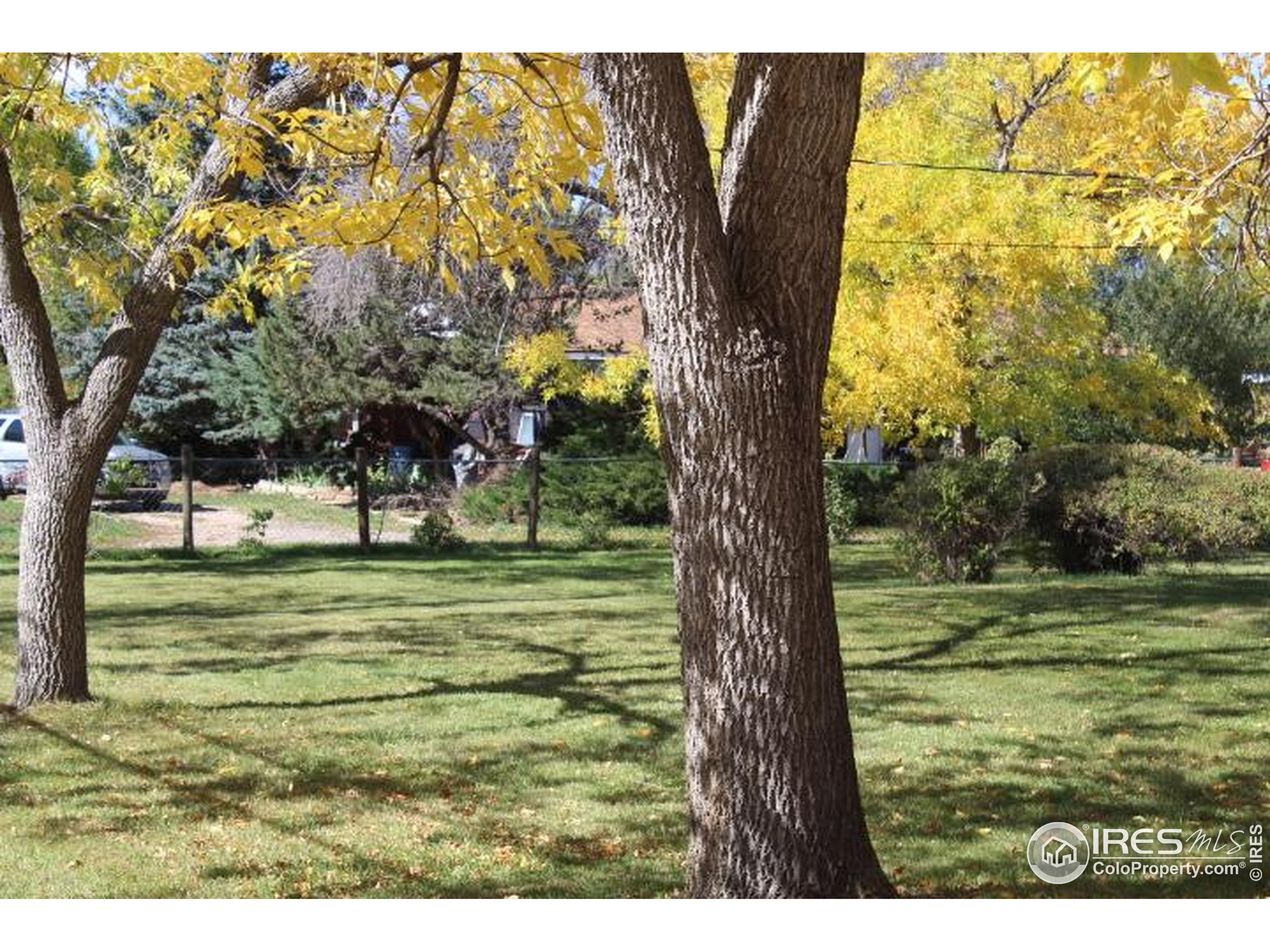 6137 Baseline Road Boulder, CO 80303 - Photo 3 of 40 a view of a yard with a tree