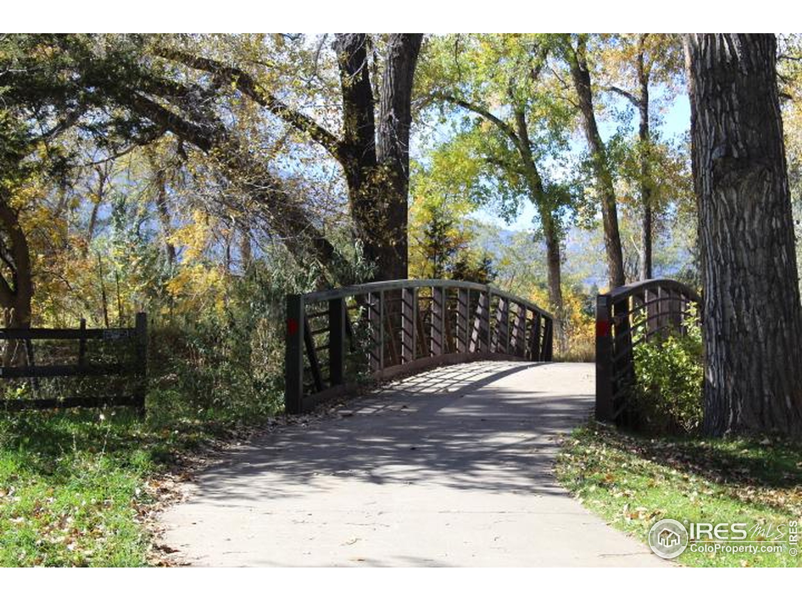6137 Baseline Road Boulder, CO 80303 - Photo 39 of 40 a view of a yard with plants and trees