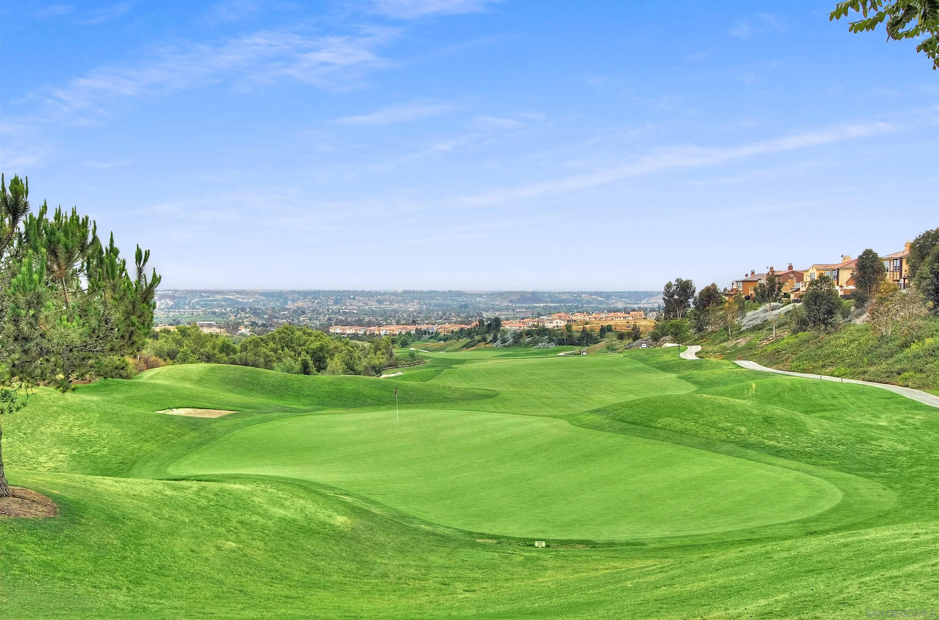 1014 Bellingham Drive Oceanside, CA 92057 - Photo 33 of 33 a view of a grassy field with trees