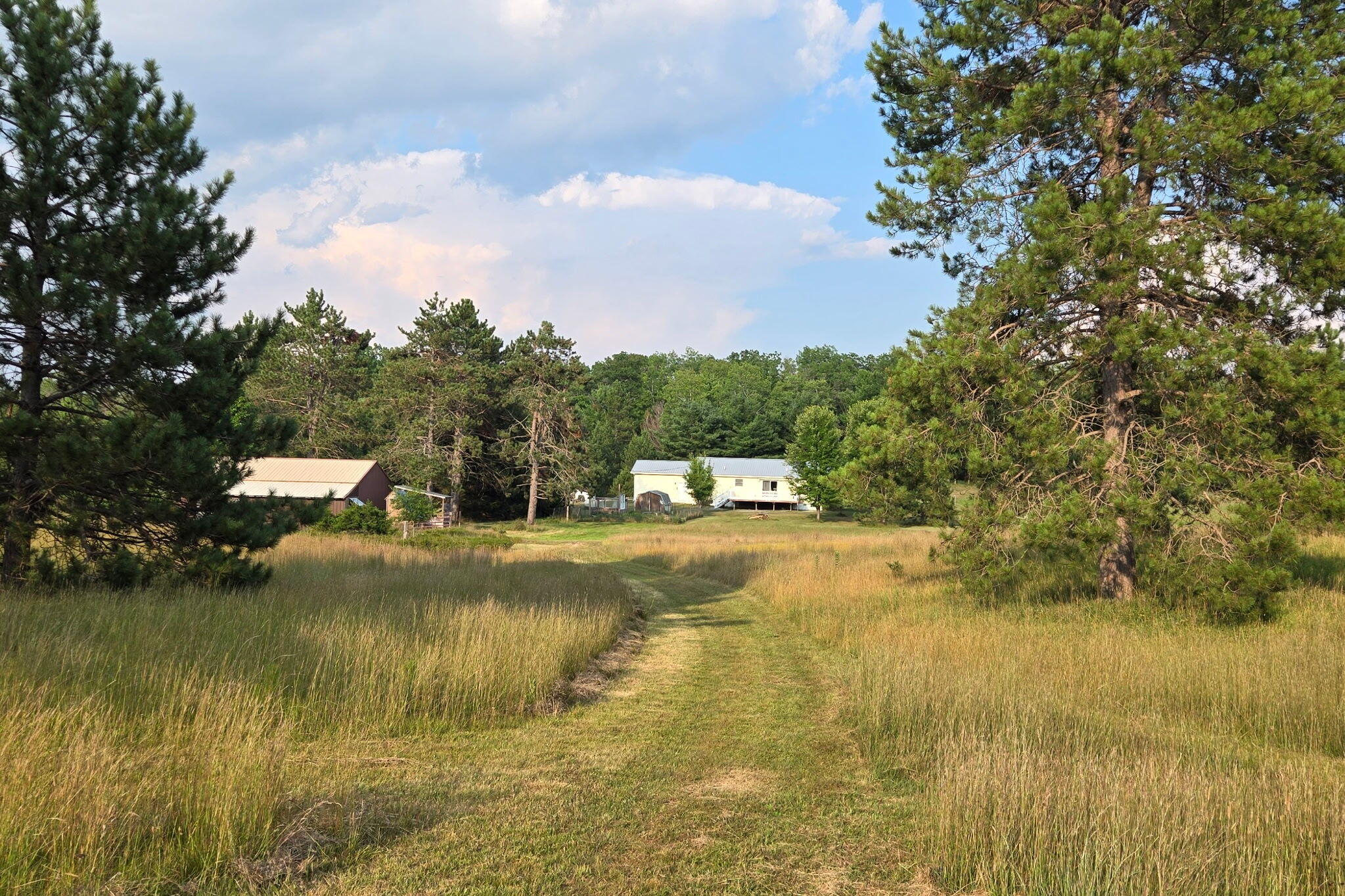 5612 Watson Road Rose City, MI 48654 - Photo 14 of 77 1000027301