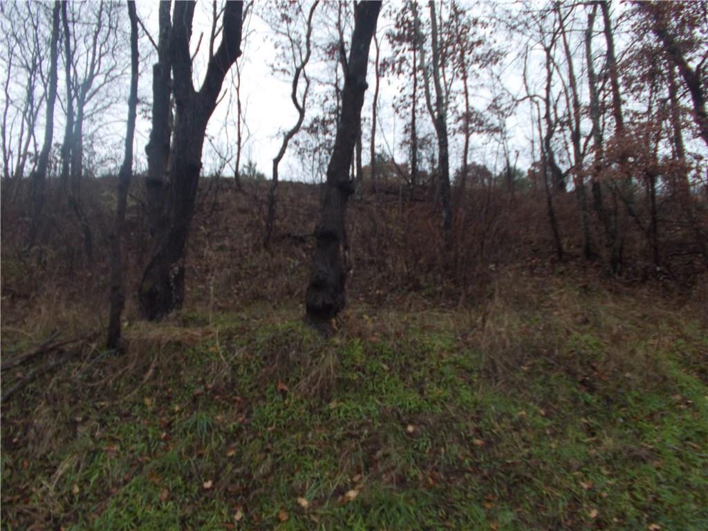 2045 Smith Road Elderton, PA 15736 - Photo 4 of 9 Gallery Image 4