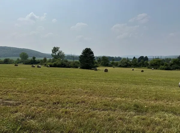 $65,000 | 0 Beaver Dams Moreland Road, Montour Falls, NY 14865