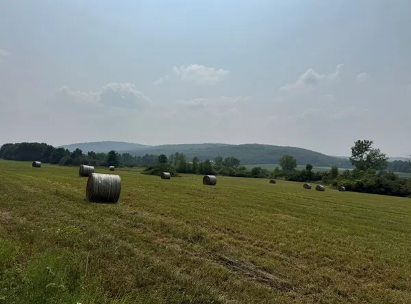 $65,000 | 0 Beaver Dams Moreland Road, Montour Falls, NY 14865