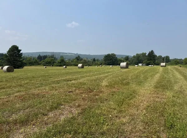 $65,000 | 0 Beaver Dams Moreland Road, Montour Falls, NY 14865