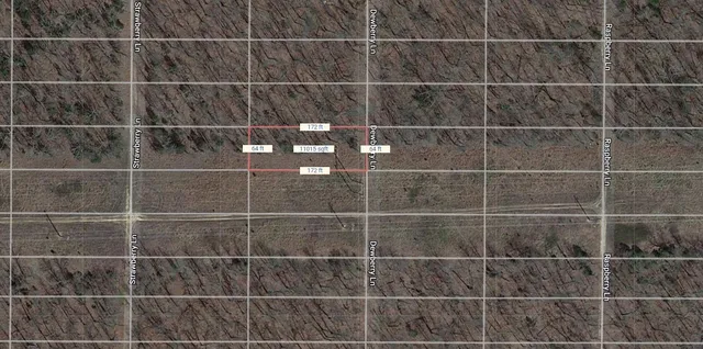 $1,100 | 1523 Dewberry Lane, Other, AR 72512