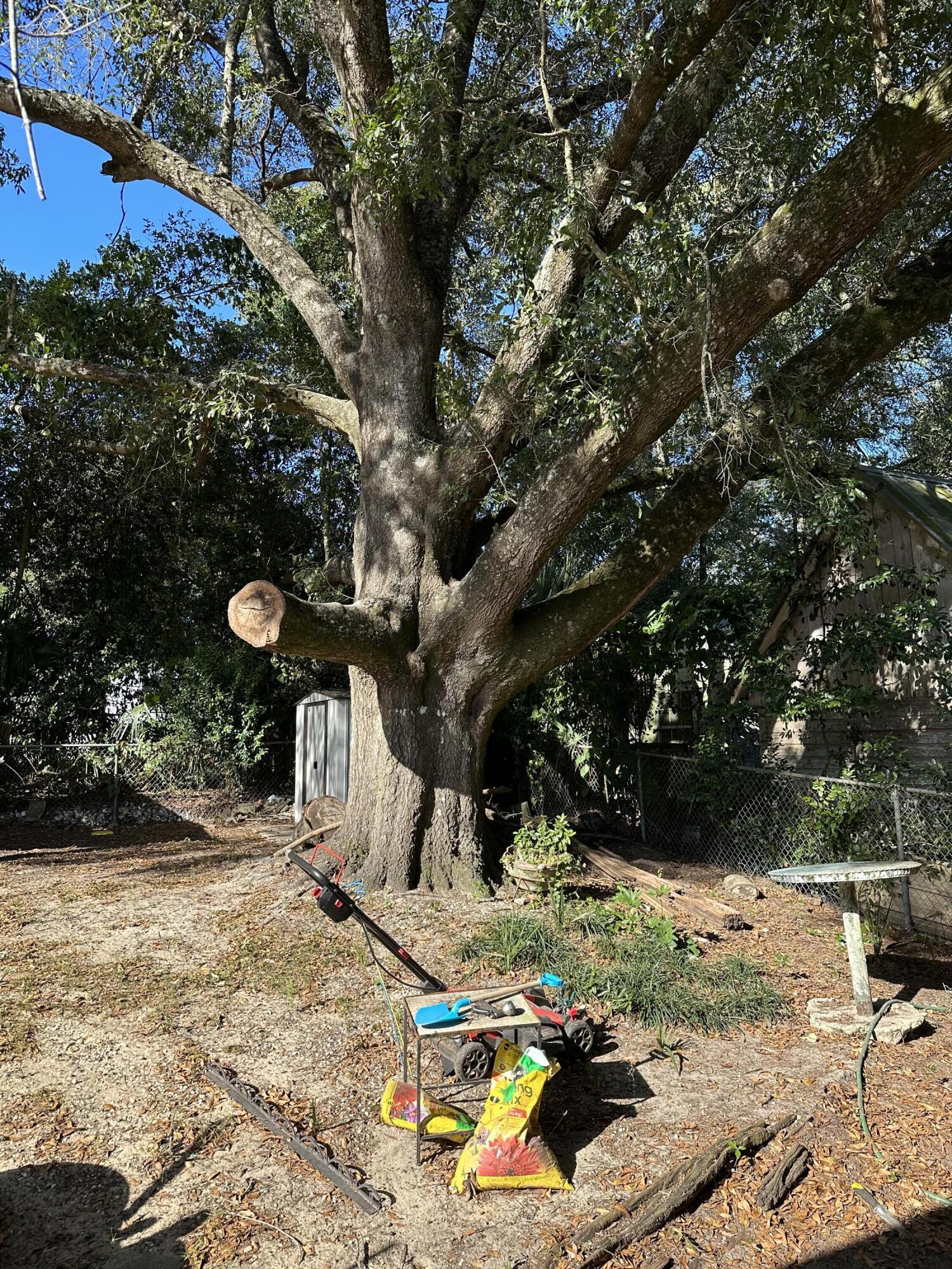 111 Sikes Drive Crestview, FL 32539 - Photo 20 of 20 a view of a fire pit with large trees
