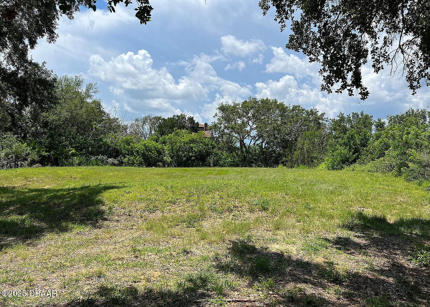 1104 Canopy Oak Lane Ponce Inlet, FL 32127 - Photo 4 of 6 a view of a field with an trees
