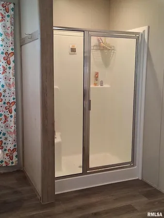 a view of a bathroom with wooden floor