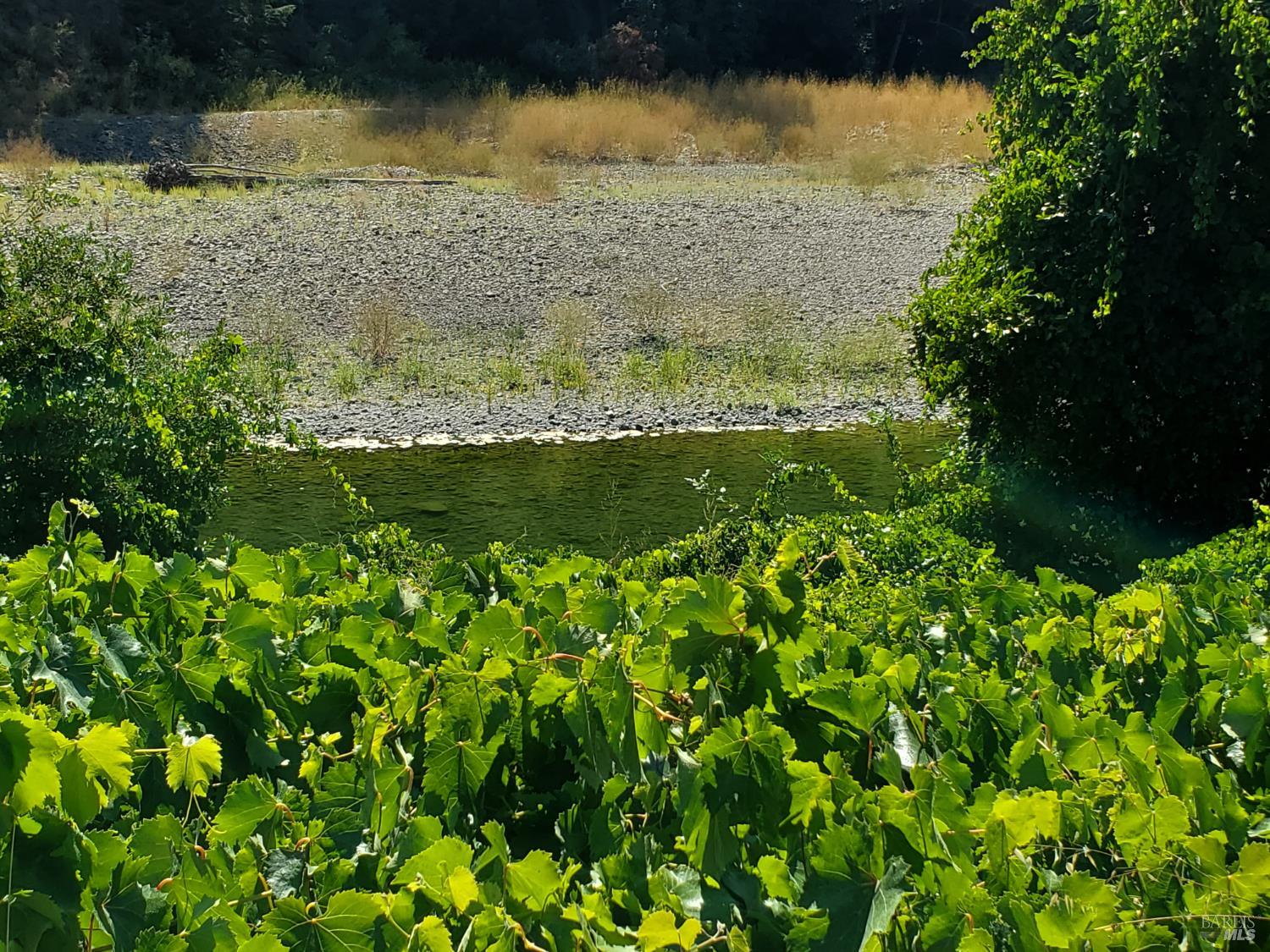 80050 Road 442b Road Piercy, CA 95587 - Photo 21 of 23