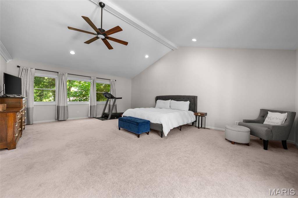 19 West Jackson Road Webster Groves, MO 63119 - Photo 24 of 46 Gallery Image 24