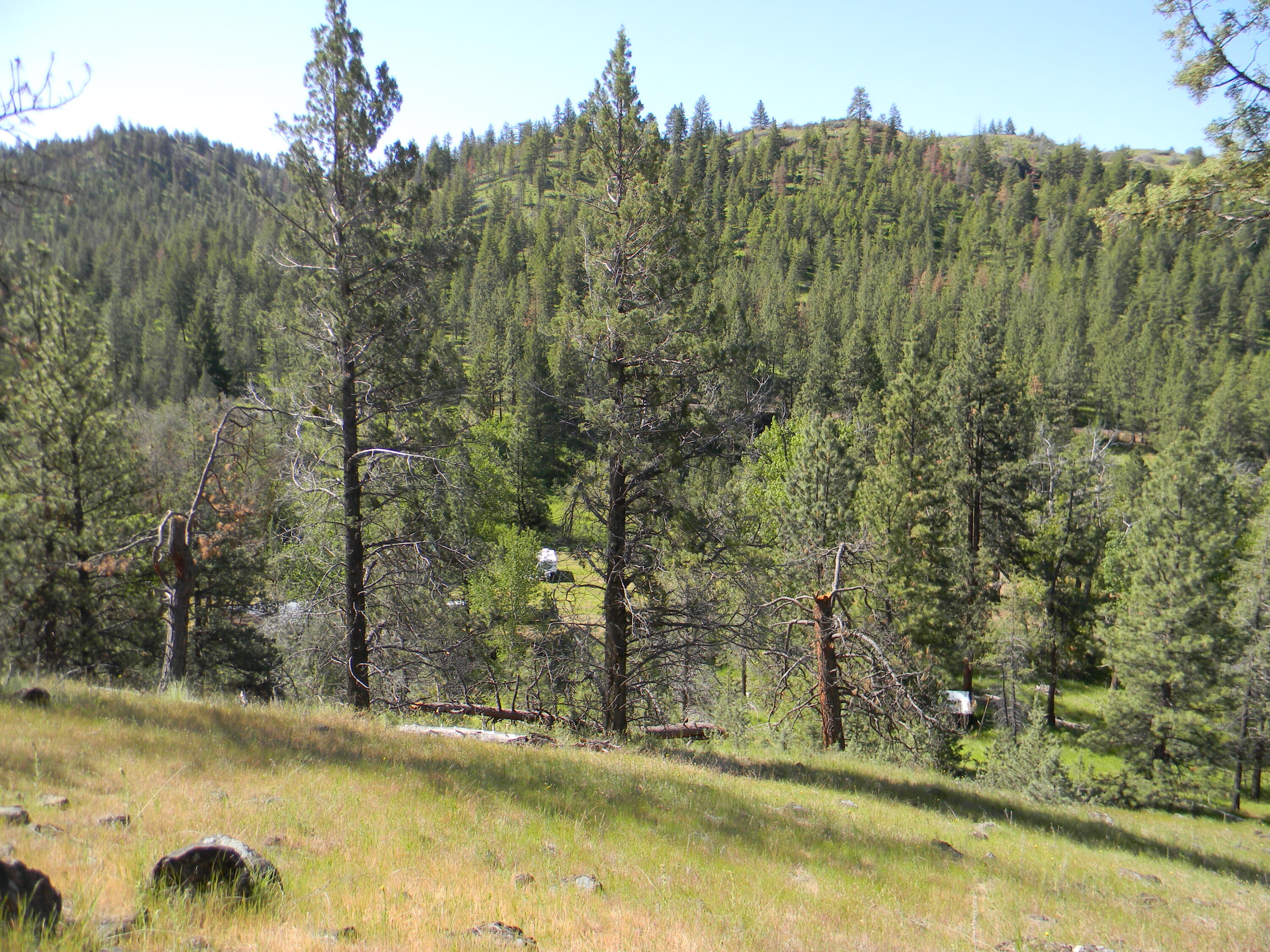 44916 Kahler Basin Road Spray, OR 97874 - Photo 23 of 25 DSCN6969