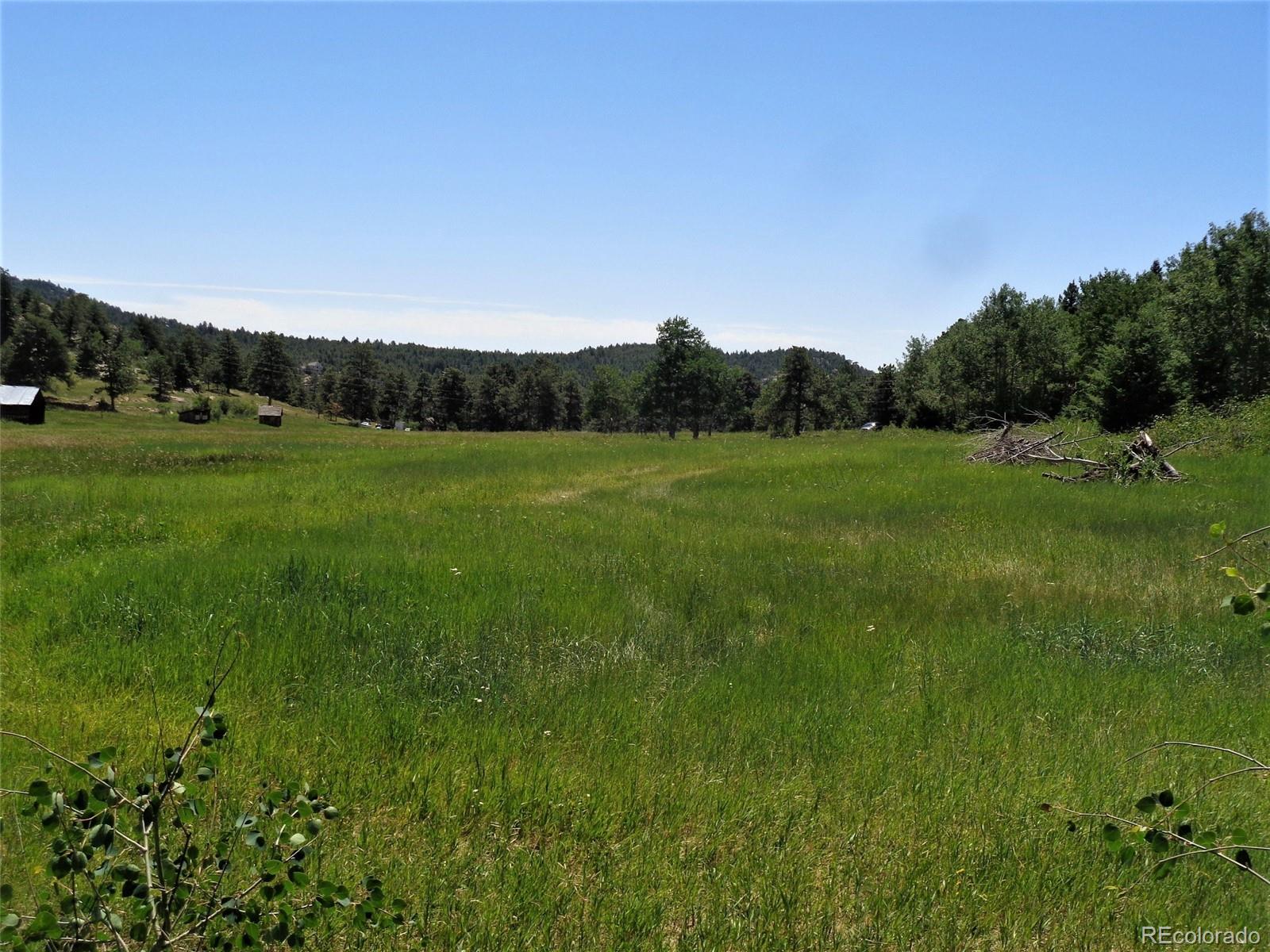 Eagle Cliff Road Conifer, CO 80433 - Photo 4 of 16 Gallery Image 4
