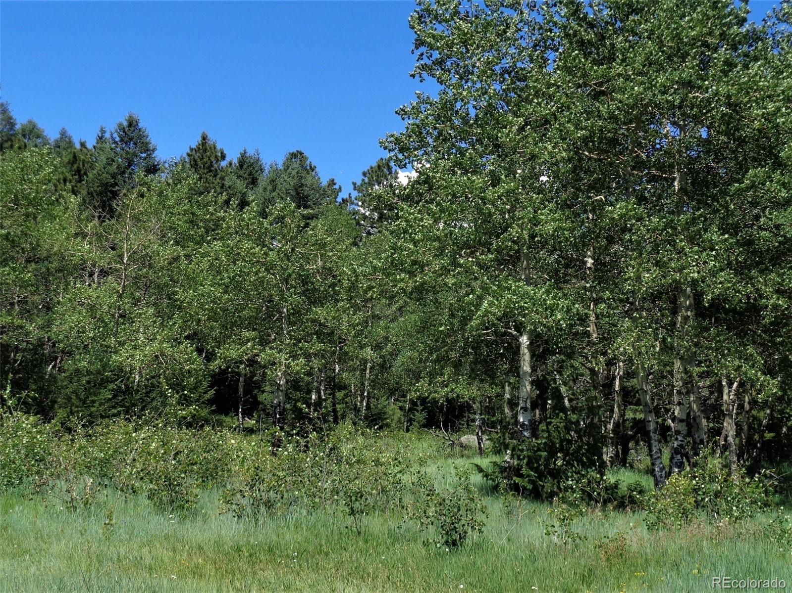 Eagle Cliff Road Conifer, CO 80433 - Photo 8 of 16 Gallery Image 8