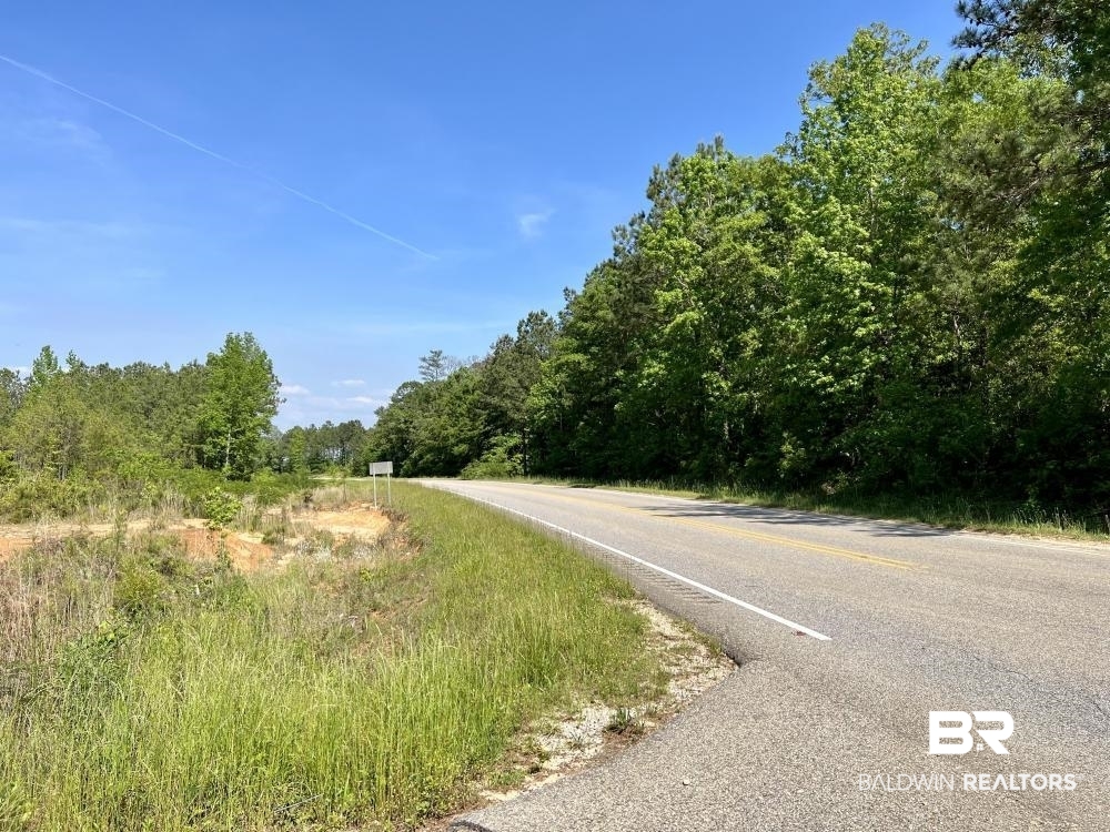 0 Fluker Kiel Road Coffeeville, AL 36524 - Photo 24 of 34