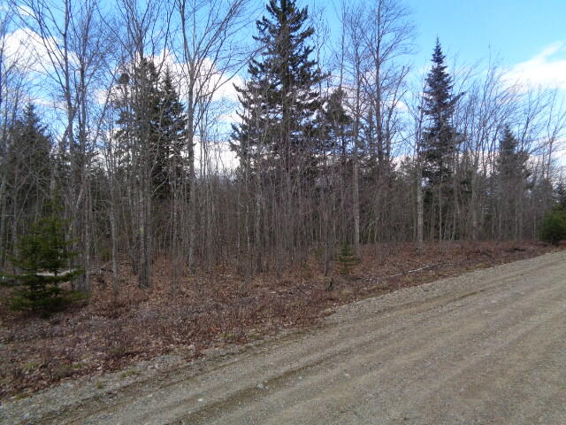 Lot 8 Tom Leighton Point Road Milbridge, ME 04658 - Photo 5 of 12 DSC05296