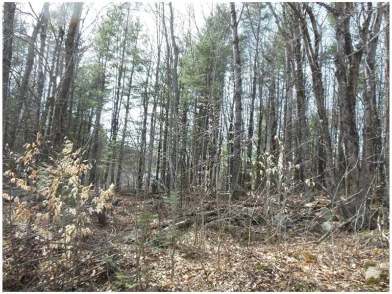 380-408 Finson Road St. Albans, ME 04971 - Photo 33 of 35 Land.