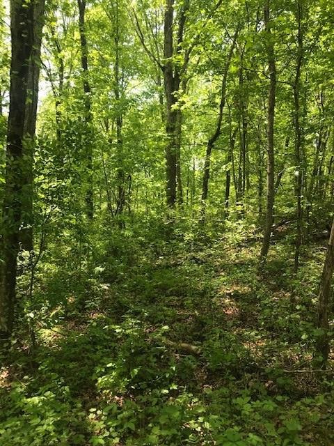 63 County Road 100 Decatur, TN 37322 - Photo 6 of 9