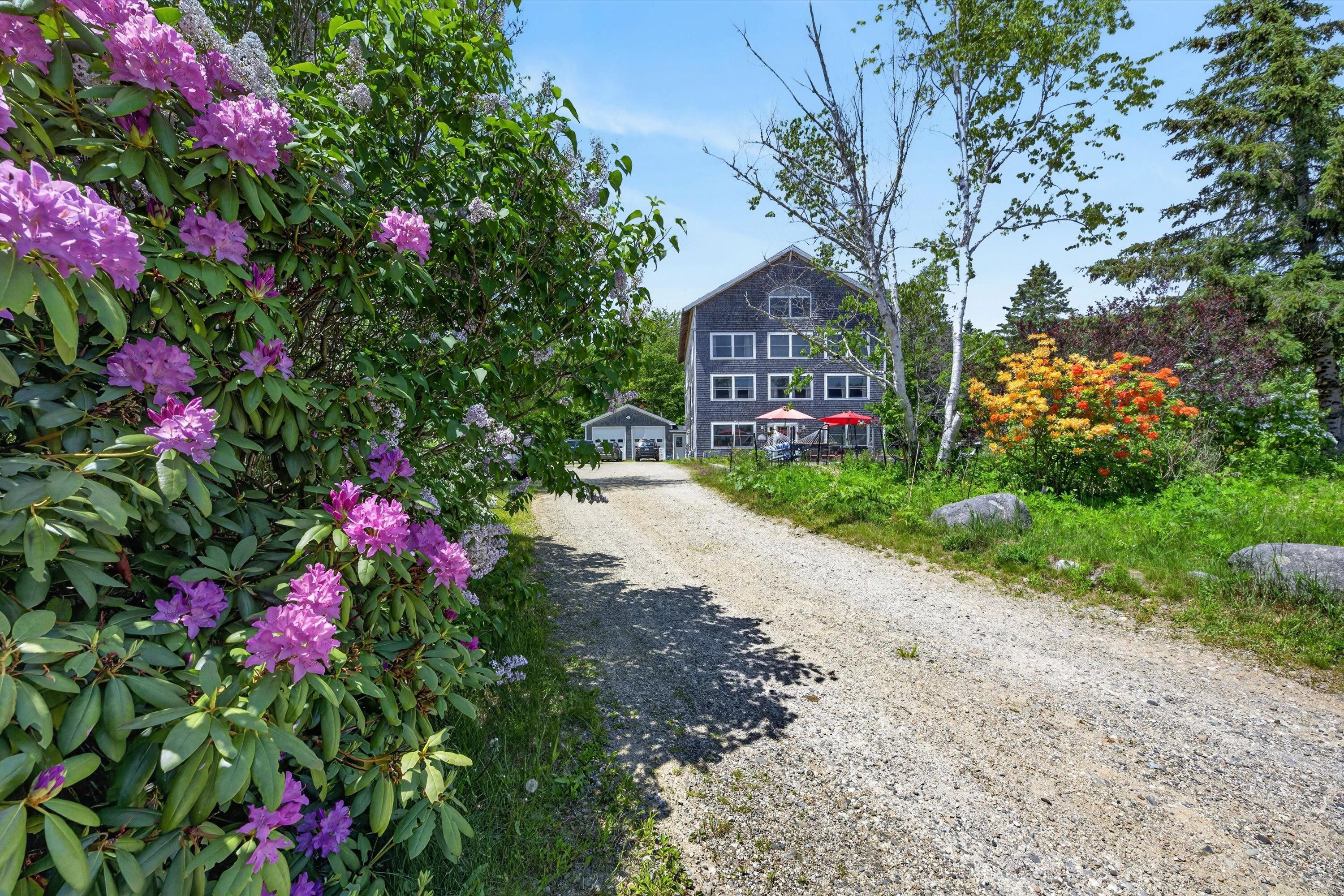 515 Falls Bridge Road Blue Hill, ME 04614 - Photo 5 of 95 515 falls - 5