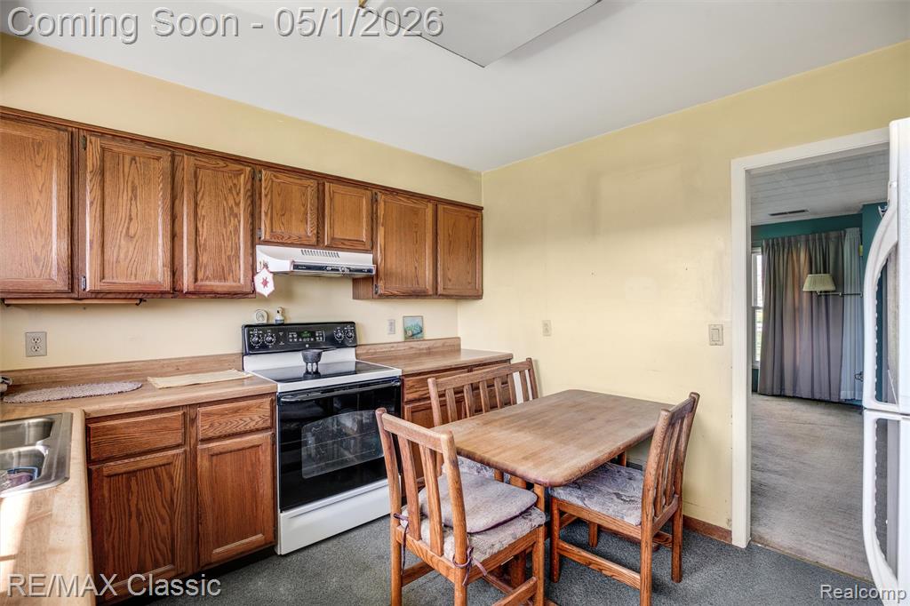11024 Dennison Road Milan, MI 48160 - Photo 10 of 28