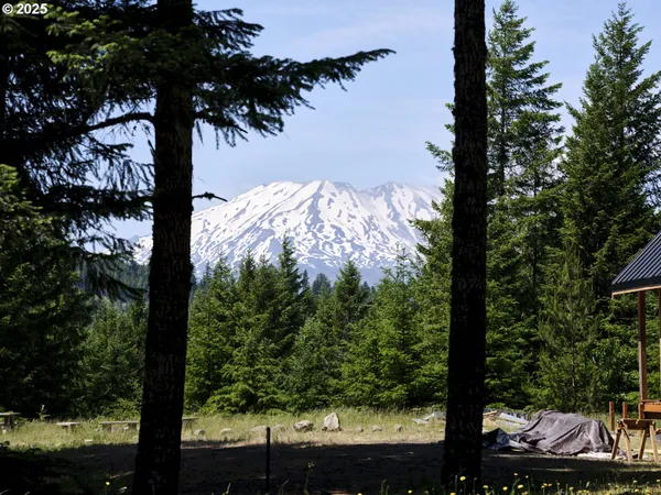 $185,000 | 2 Phyllis Ann Block Court, Cougar, WA 98616