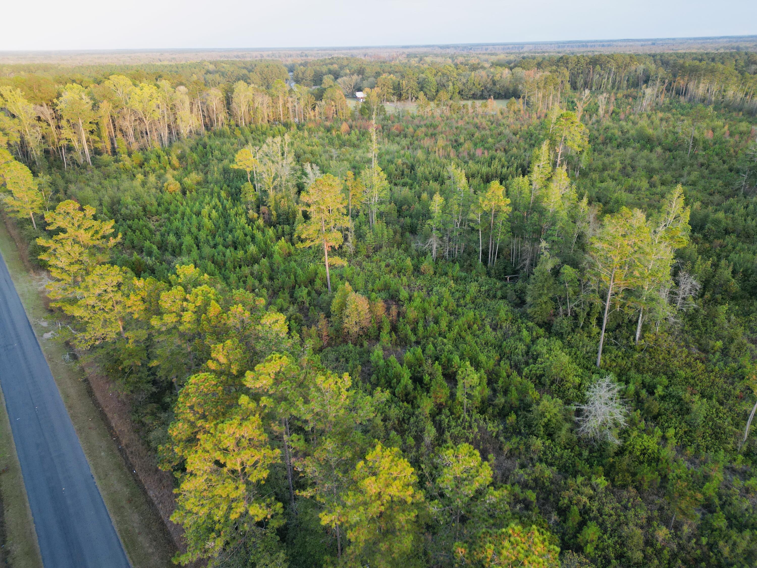 0 Peniel Road Walterboro, SC 29488 - Photo 13 of 15 24
