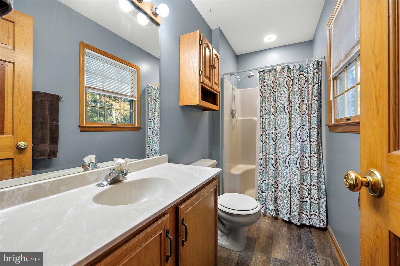 5079 Old Mill Branch Road Salisbury, MD 21801 - Photo 21 of 47 a bathroom with a sink toilet and shower