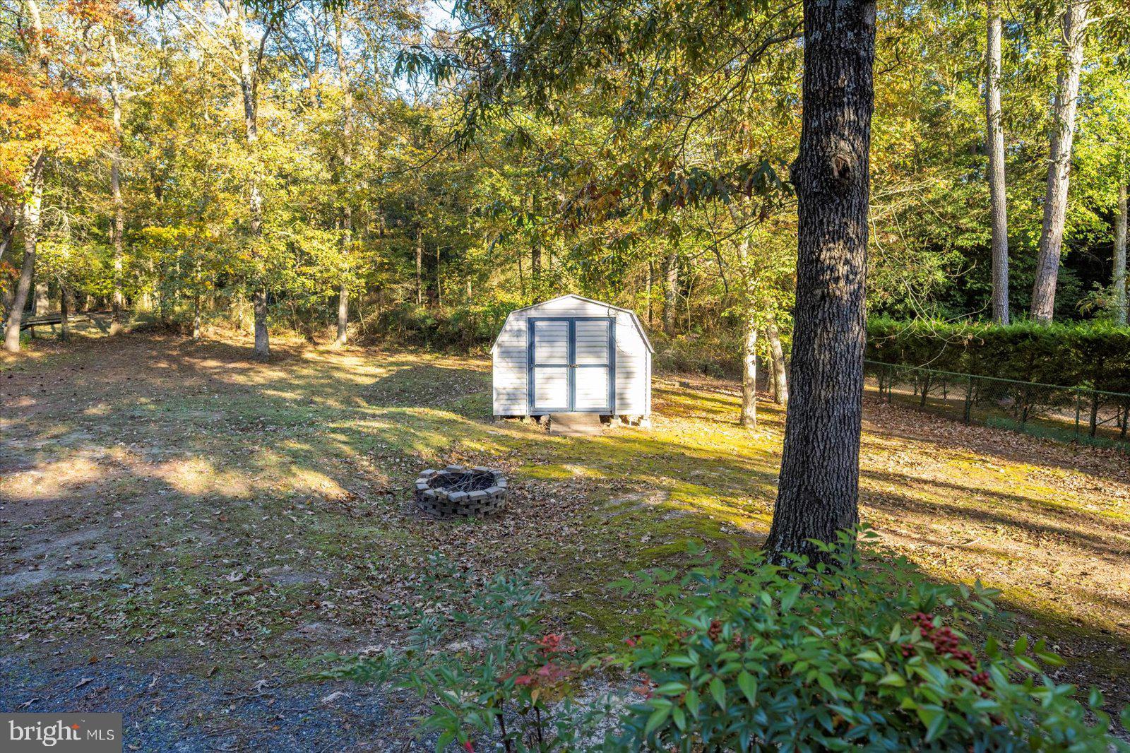 5079 Old Mill Branch Road Salisbury, MD 21801 - Photo 34 of 47 a view of a yard with plants and large trees