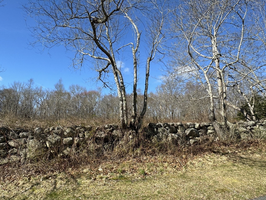 8 Strawberry Lane Westport, MA 02790 - Photo 3 of 12 a view of a yard